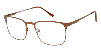 New Globe L5173-P