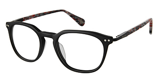 ROBERT GRAHAM NOAH